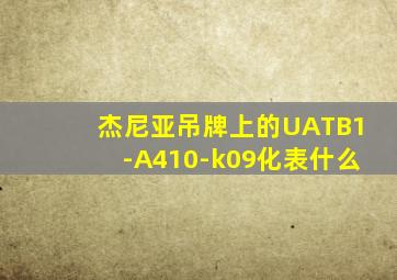 杰尼亚吊牌上的UATB1-A410-k09化表什么