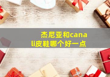 杰尼亚和canali皮鞋哪个好一点