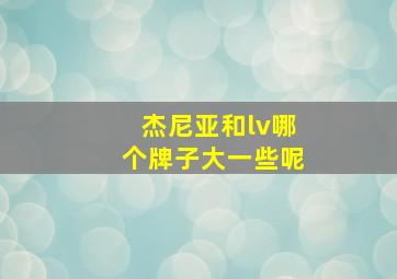 杰尼亚和lv哪个牌子大一些呢