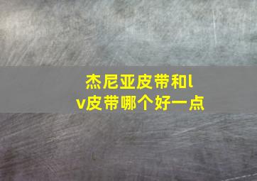 杰尼亚皮带和lv皮带哪个好一点