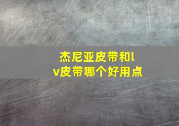 杰尼亚皮带和lv皮带哪个好用点