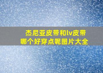 杰尼亚皮带和lv皮带哪个好穿点呢图片大全