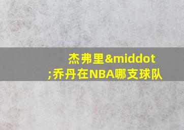 杰弗里·乔丹在NBA哪支球队