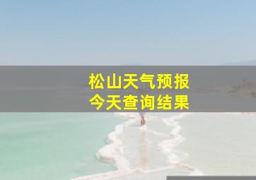 松山天气预报今天查询结果