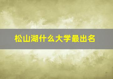 松山湖什么大学最出名