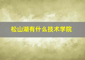 松山湖有什么技术学院