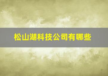 松山湖科技公司有哪些