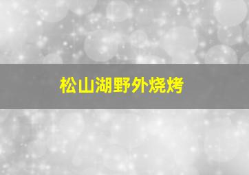 松山湖野外烧烤