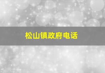 松山镇政府电话