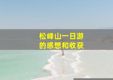 松峰山一日游的感想和收获