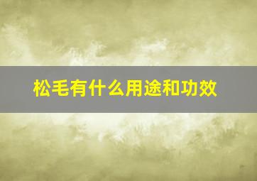 松毛有什么用途和功效