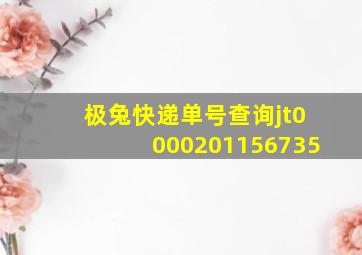 极兔快递单号查询jt0000201156735