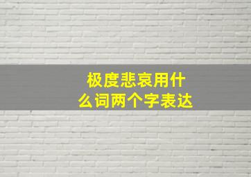 极度悲哀用什么词两个字表达