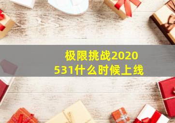 极限挑战2020531什么时候上线