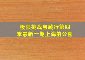 极限挑战宝藏行第四季最新一期上海的公园