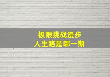 极限挑战漫步人生路是哪一期