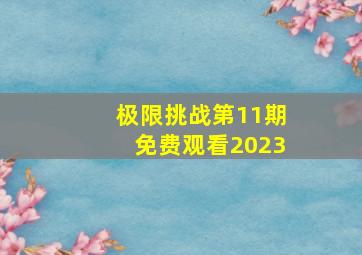 极限挑战第11期免费观看2023