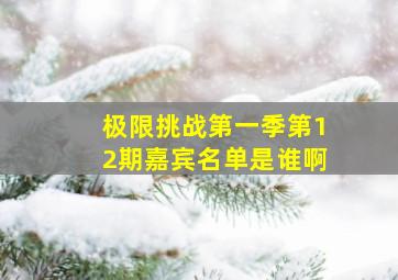 极限挑战第一季第12期嘉宾名单是谁啊