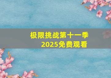 极限挑战第十一季2025免费观看