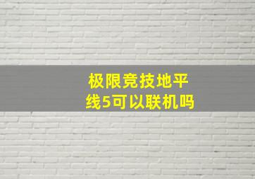 极限竞技地平线5可以联机吗