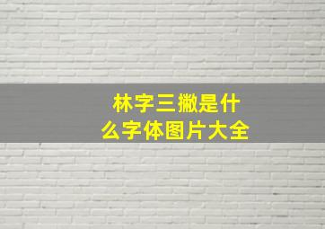 林字三撇是什么字体图片大全