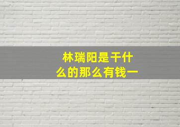 林瑞阳是干什么的那么有钱一