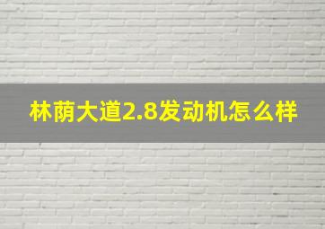 林荫大道2.8发动机怎么样