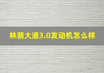 林荫大道3.0发动机怎么样