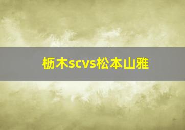 枥木scvs松本山雅