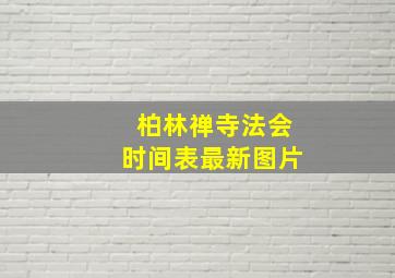 柏林禅寺法会时间表最新图片