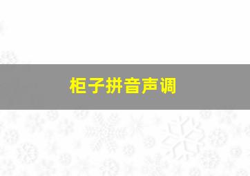 柜子拼音声调