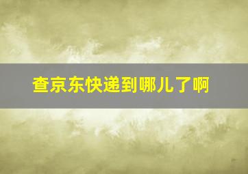 查京东快递到哪儿了啊