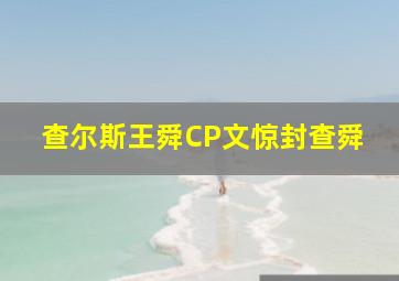 查尔斯王舜CP文惊封查舜