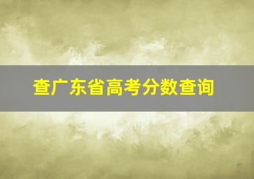 查广东省高考分数查询