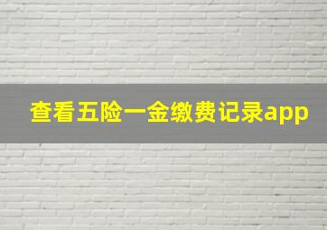 查看五险一金缴费记录app