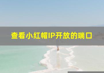 查看小红帽IP开放的端口