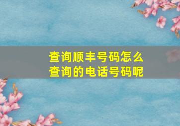 查询顺丰号码怎么查询的电话号码呢