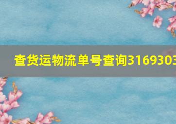 查货运物流单号查询3169303