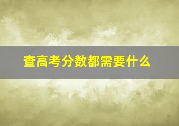 查高考分数都需要什么