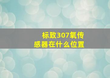 标致307氧传感器在什么位置