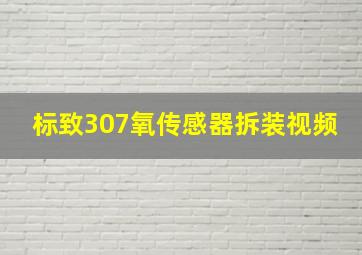 标致307氧传感器拆装视频