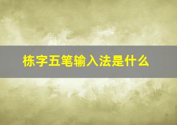 栋字五笔输入法是什么