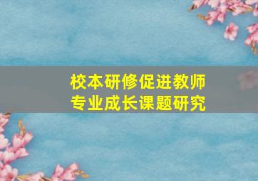 校本研修促进教师专业成长课题研究