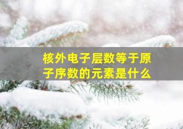 核外电子层数等于原子序数的元素是什么