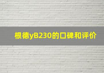 根德yB230的口碑和评价