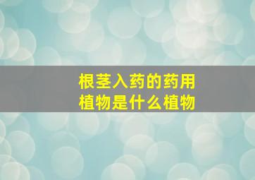 根茎入药的药用植物是什么植物