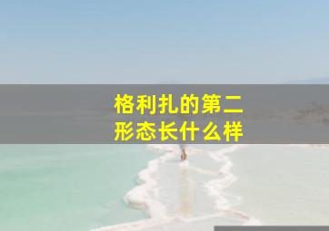 格利扎的第二形态长什么样