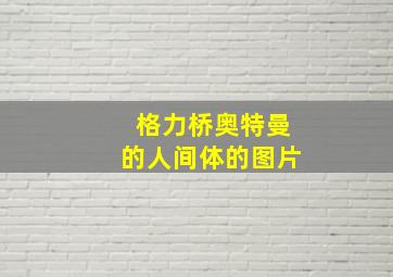 格力桥奥特曼的人间体的图片