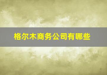 格尔木商务公司有哪些