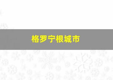 格罗宁根城市